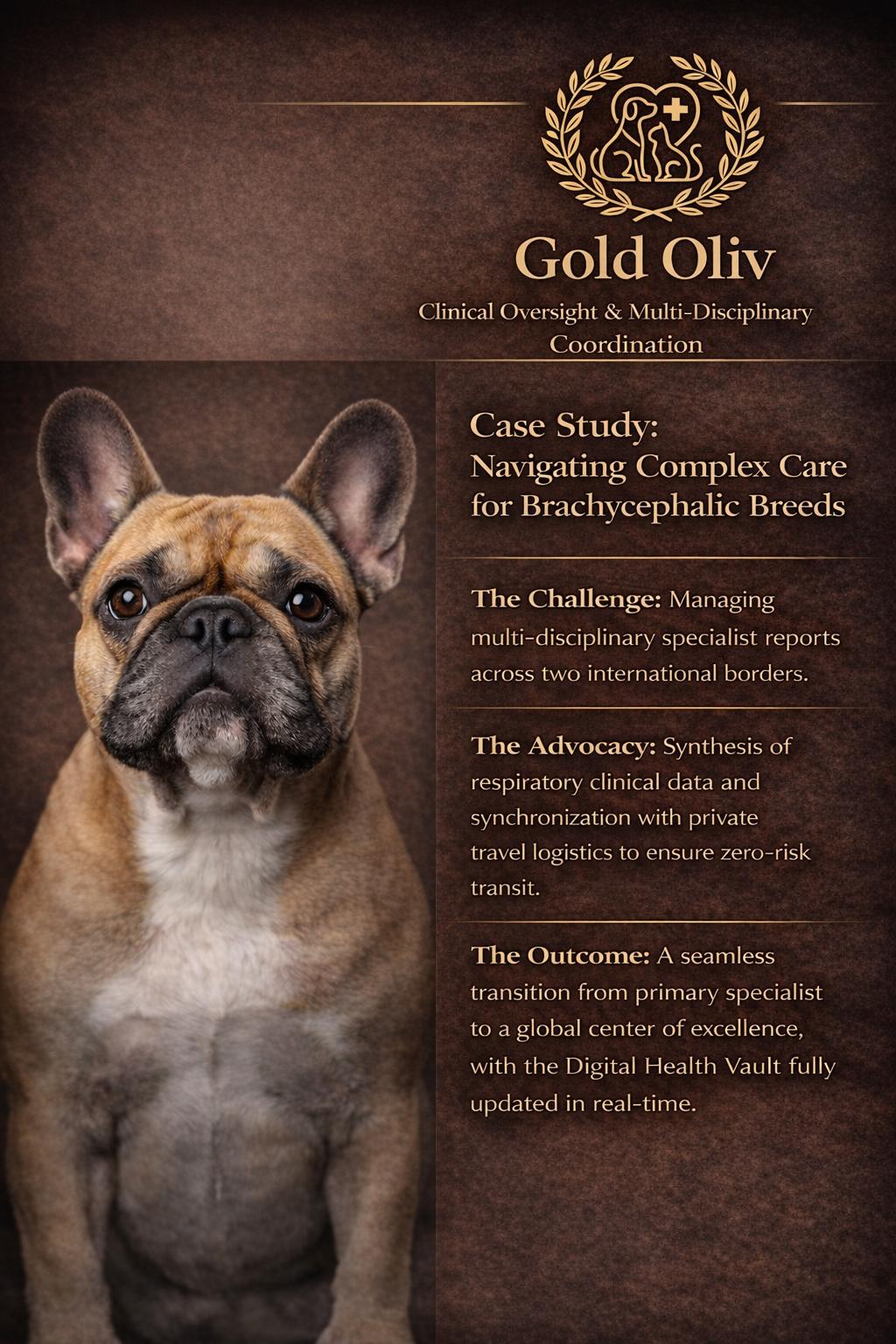 Frenchie Case Study (1)